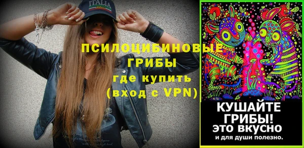 хмурый Медногорск