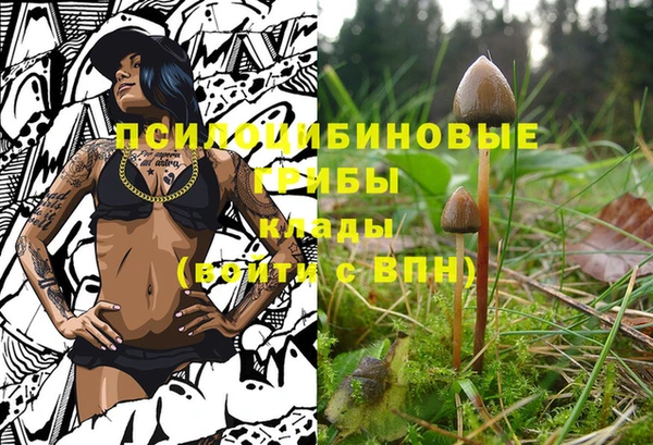 метадон Алексин