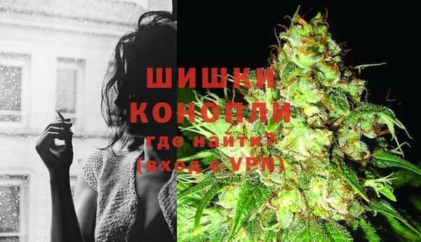 ешки Алзамай